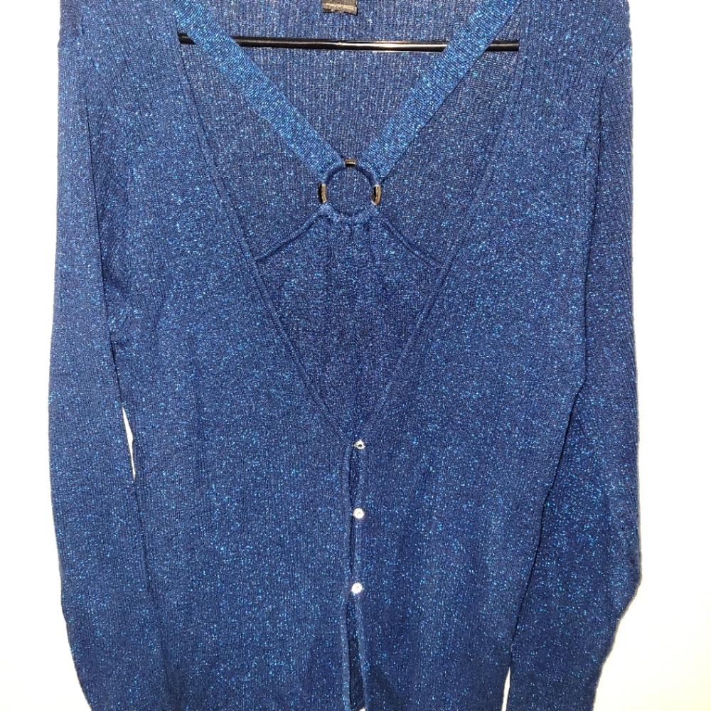 Lane Bryant sparkly blue sweater